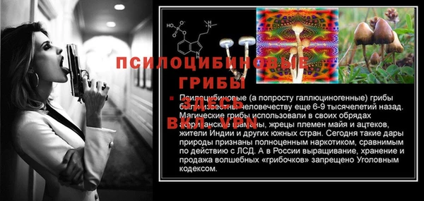 ALPHA PVP Богданович