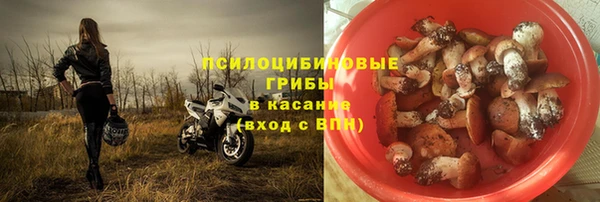 первитин Богородск