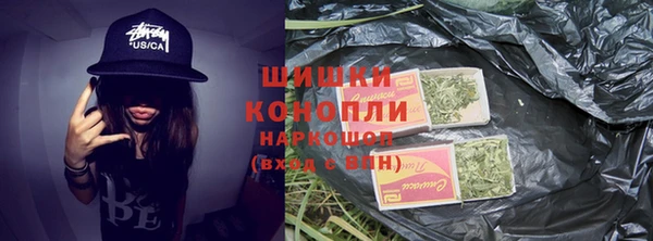 шишки Белоозёрский